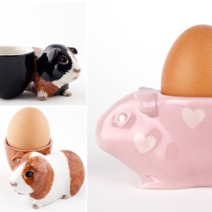 Quail Ceramic Guinea Pig Egg Cups