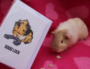 Popcorning Piggy Review