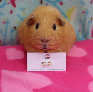 Innabox Guinea Pig earring review 