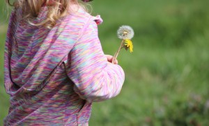 Squidgygirl and Dandelions