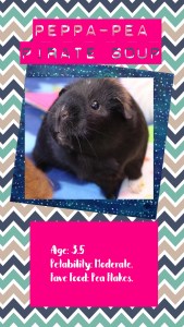 Peppa-Pea Pirate Soup