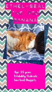 Ethel-Seal the Poo Banana