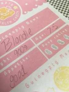 GPW Health Pad Review