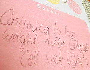 GPW Health Pad Review