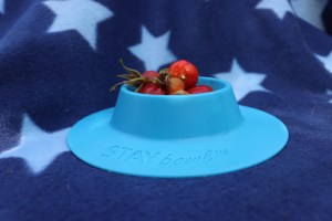 Squidgypigs STAYbowl review