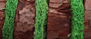 Rosewood Cupid and Comet Loofah and Wood Tree Review