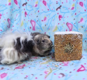 Rosewood Naturals Golden Gift Box