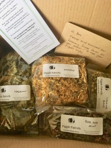 Piggie Parcel’s Review